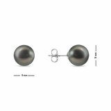 9-9.5mm Cultured Tahitian Pearl Stud Earrings, 14ct White Gold