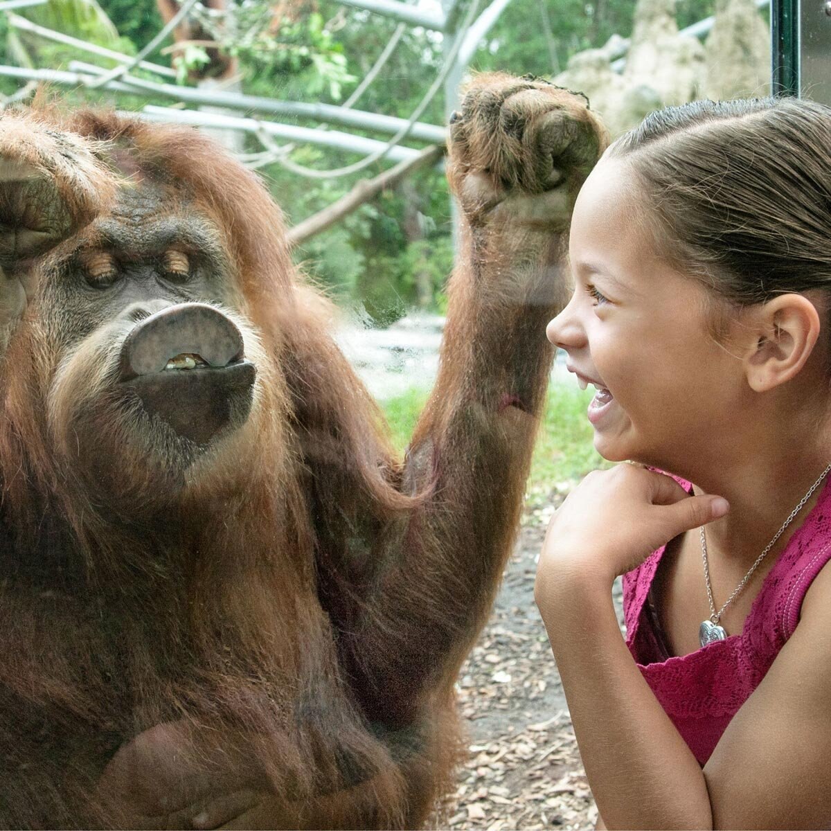 Go City San Diego 3 day All-Inclusive Pass, Child