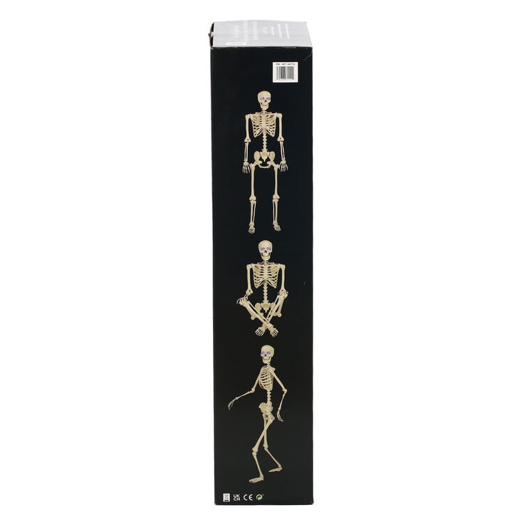 Buy Halloween Animated Poseable Skeleton 60" Pose Examples Image at costco.co.uk