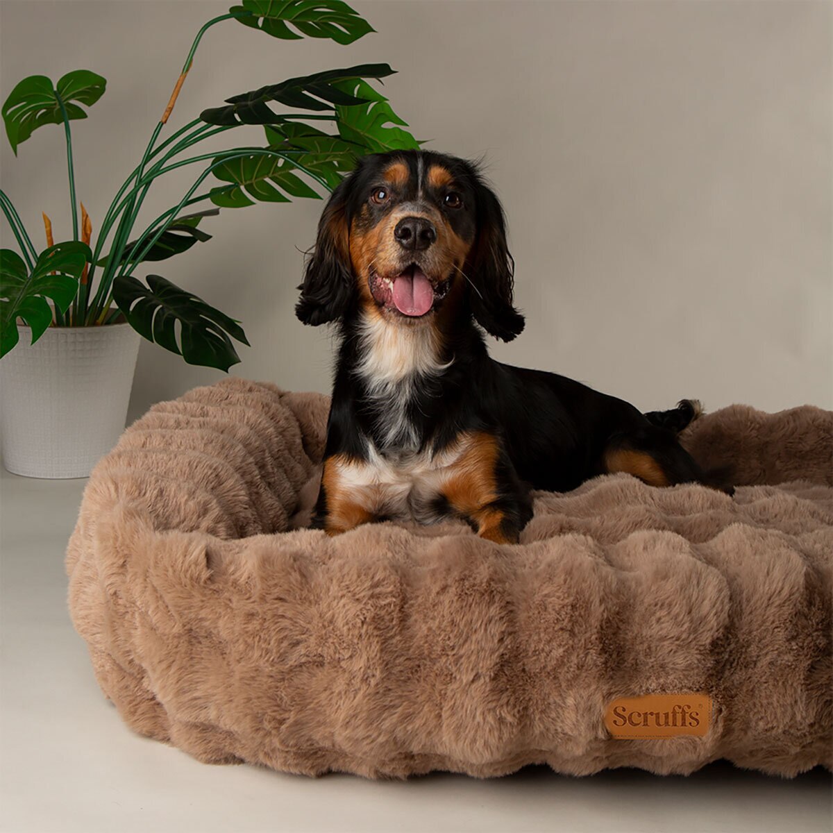 Scruffs Alpine Box Medium Pet Bed 60 x 50cm in Taupe