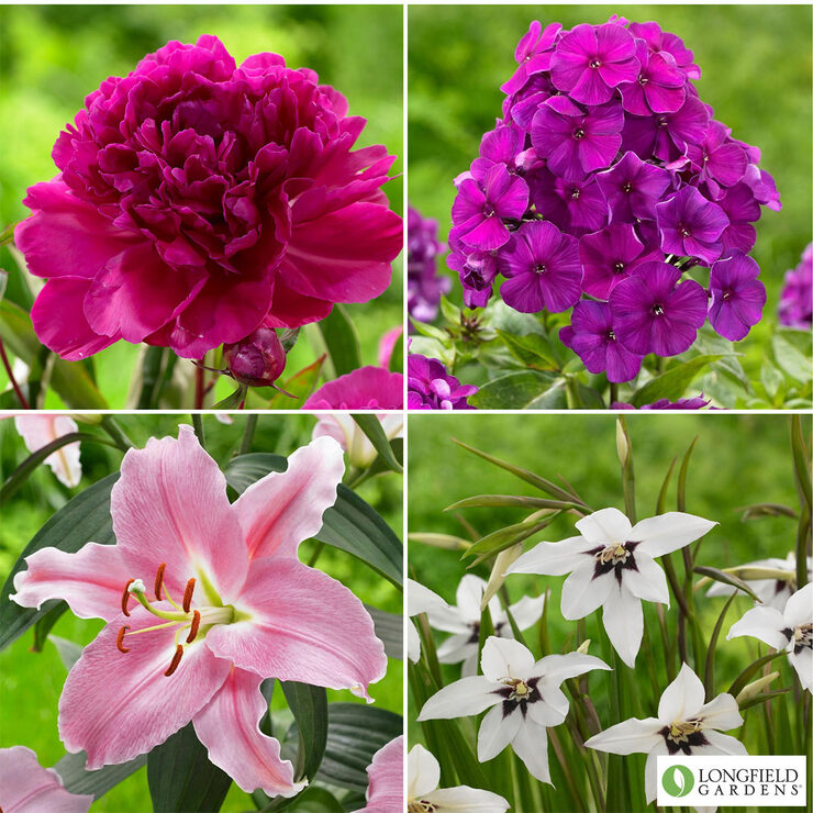 Fragrant Flower Garden Collection, 58 Bulbs | Costco UK