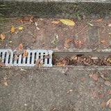 Hedgehog Gutter Brush Leaf and Debris Guard 2 x 4M Hedgehog Gutter Brush Leaf and Debris Guard 2 x 4M