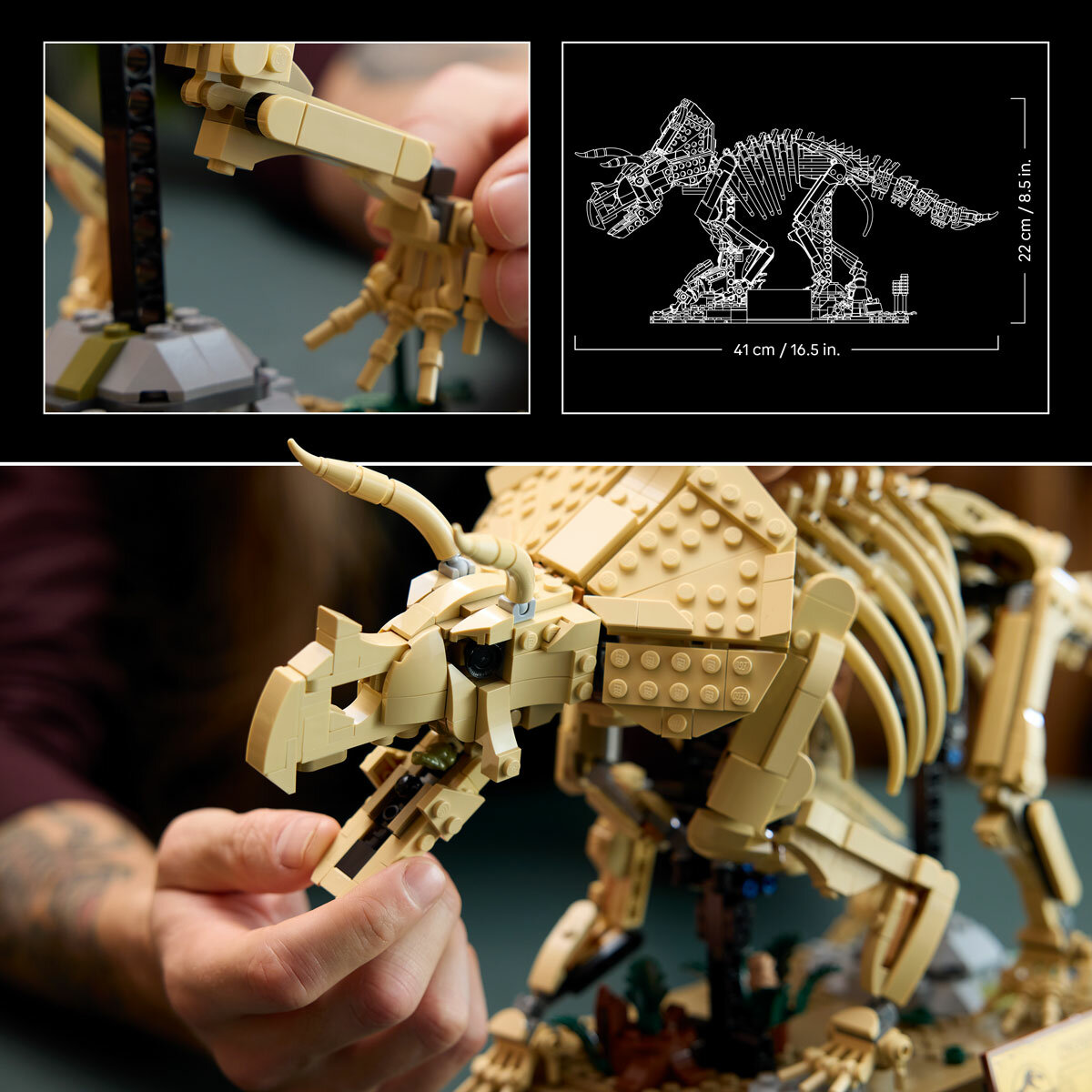 LEGO Jurassic World Dinosaur Fossils: Triceratops - Model 77985 (18+ Years) LEGO Jurassic World Dinosaur Fossils: Triceratops - Model 77985 (18+ Years)