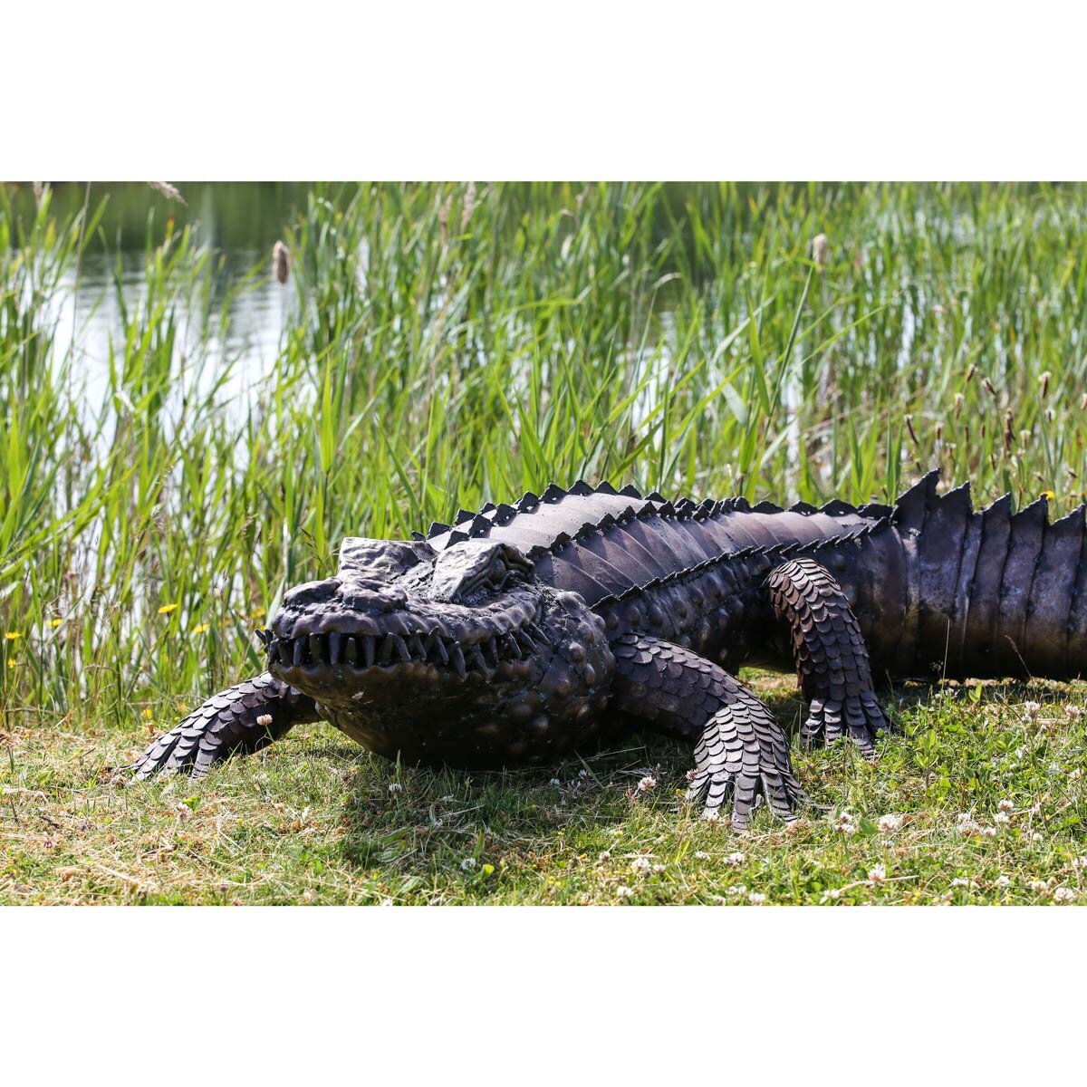 7ft Crocodile
