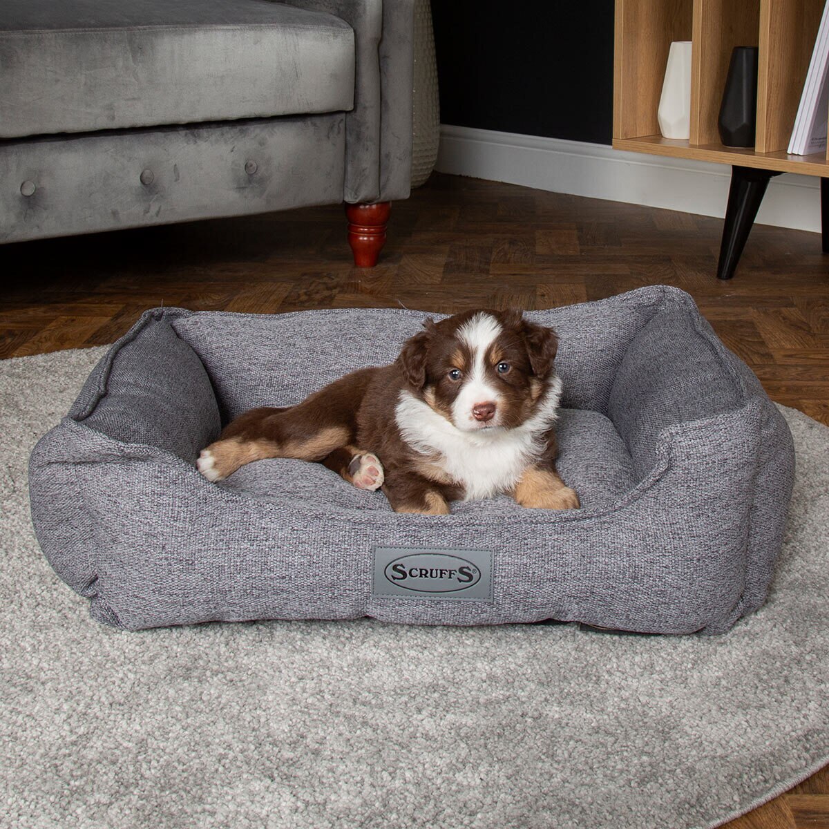 Lifestyle image of dog sitting on pet bed in living room setting