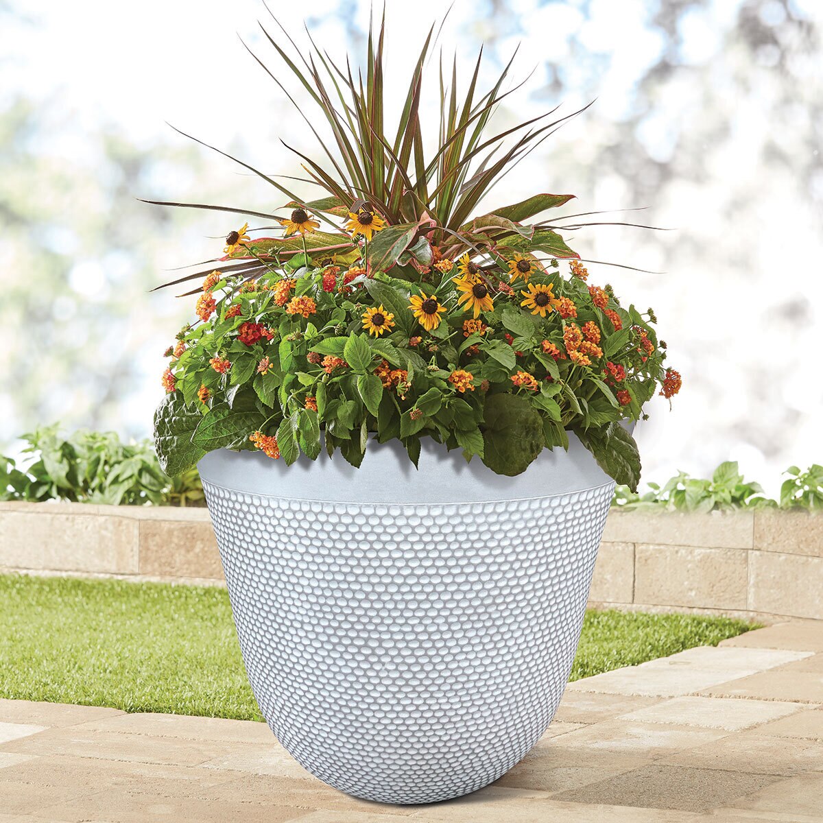 ATT Southern Argenta 57cm (22") Planter in White Cost...