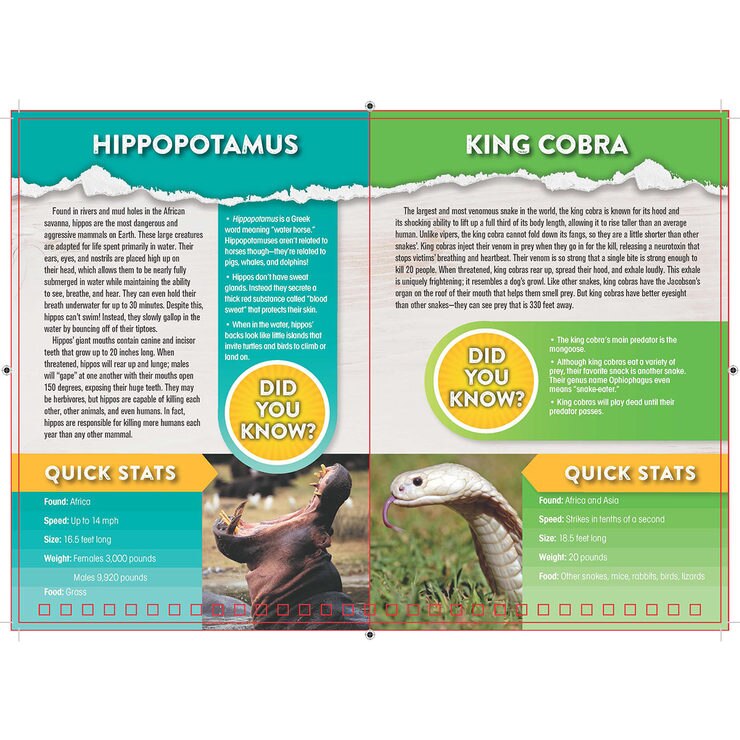 Discovery: Head-to-Head: Animals