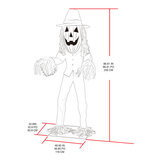 Buy Big Head JOL Scarecrow Dimensions Image at Costco.co.uk