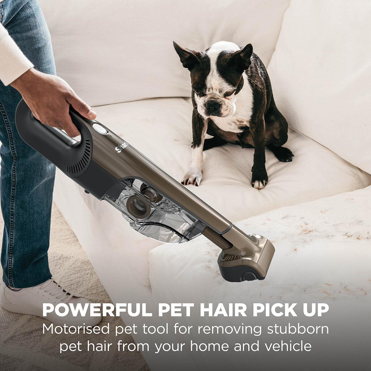 Lifestyle image of powerful pet hair pick up Lifestyle image of powerful pet hair pick up