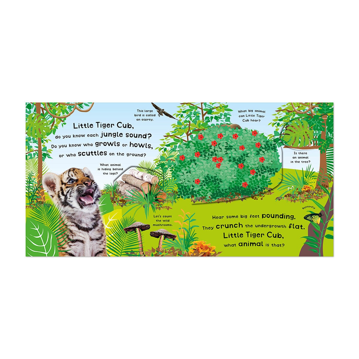 Growl Howl Animals, The Best Noisy Animal Book Ever! (2+ Years)