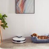 Lifestyle image of Samsung Robotic Vac showing portability