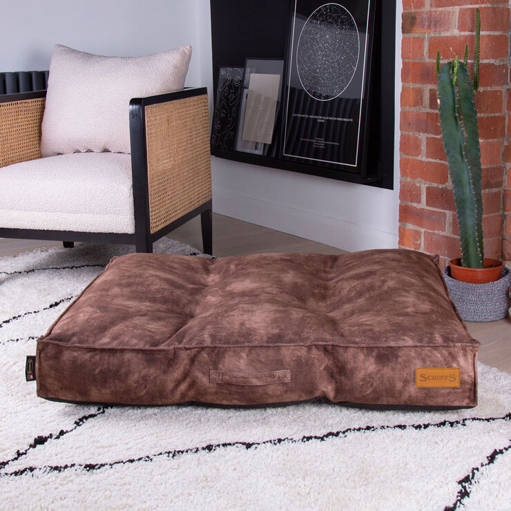 lifestyle of dog mattress lifestyle of dog mattress