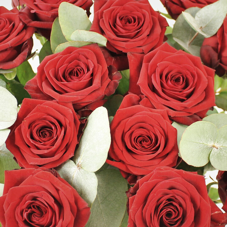 Valentines 18 Stem Naomi Premium Red Roses Flower Bouquet Costco UK