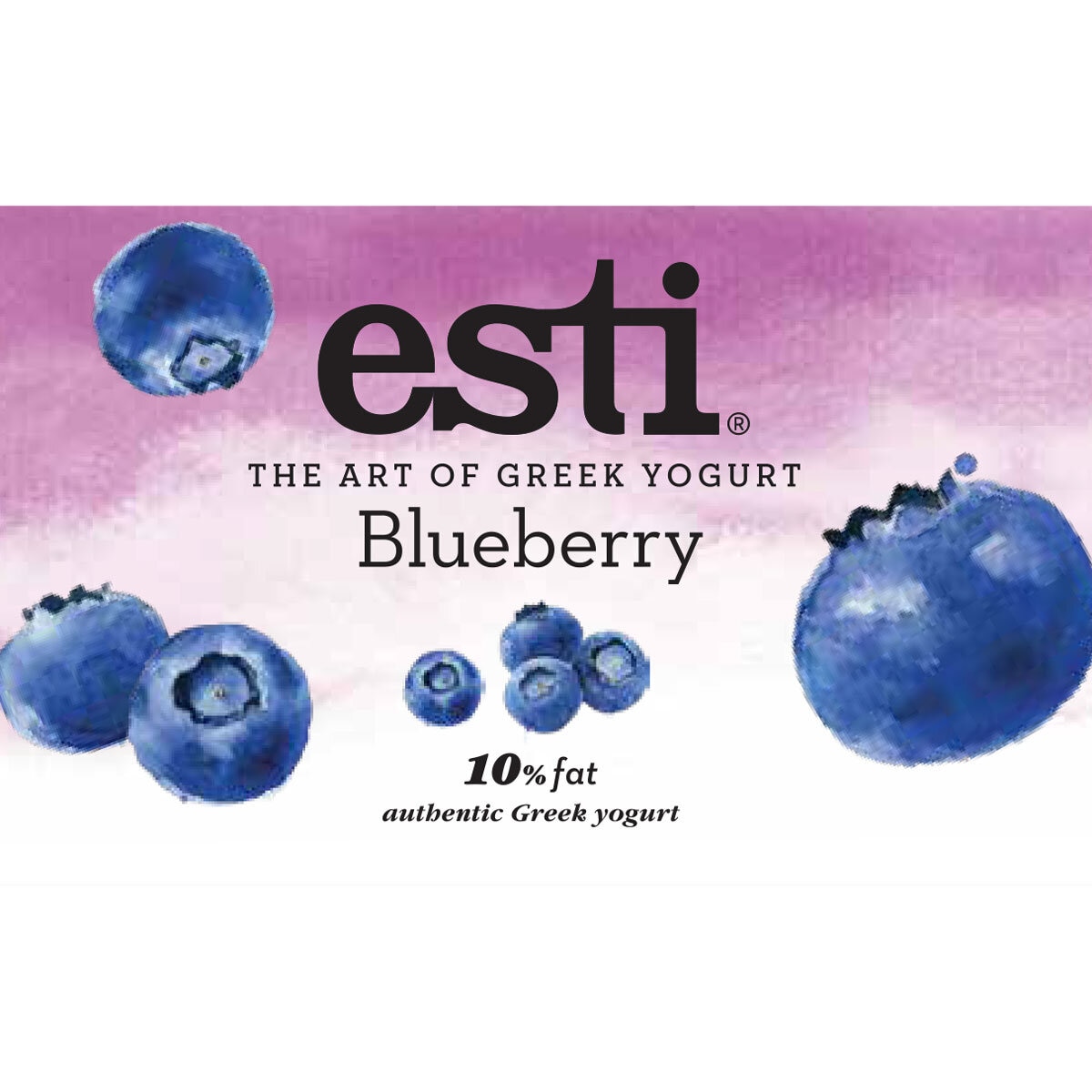 Esti Foods Blueberries Greek Yogurt, 1kg