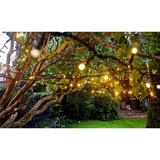 Buy Warm White String 20m 120 Bulbs LED Lights Close-up1 Image at Costco.co.uk