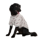Black Dog with Grey Hoodie