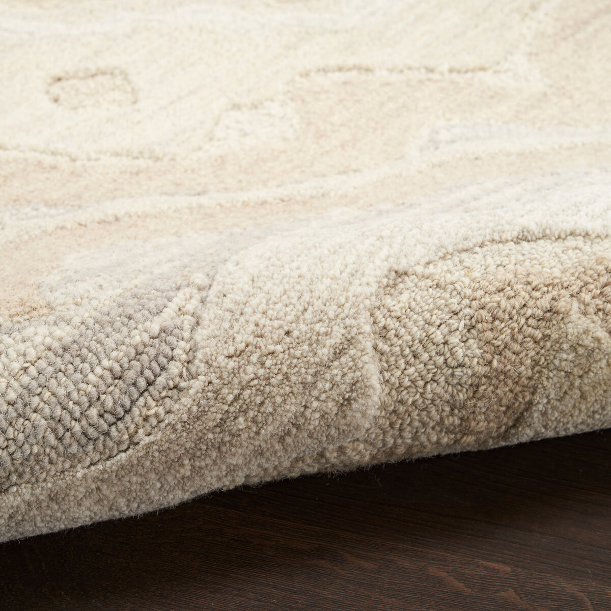 Nourison Graceful Rug in Beige, 236 x 297 cm