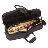 Photo of saxophone with case
