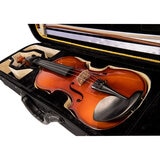 Close up of violin