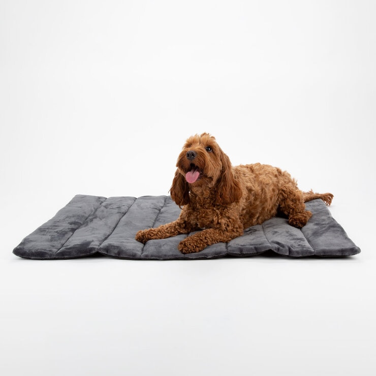 Scruffs Reversible Roll Up Travel Bed, 100 x 70cm in 3 Colours Scruffs Reversible Roll Up Travel Bed, 100 x 70cm in 3 Colours