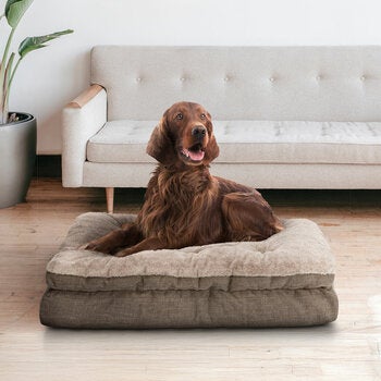 Kirkland Signature Pillow Top Gusseted Pet Bed, 32" x 42" (81.3 x 106.7cm) in 2 Options Kirkland Signature Pillow Top Gusseted Pet Bed, 32" x 42" (81.3 x 106.7cm) in 2 Options