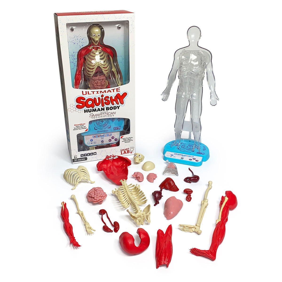 Ultimate Squishy Human Body with Smartscan Technology 8
