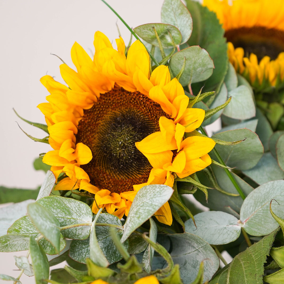 21 Stem Simply Sunflowers Flower Bouquet with Greetings Card