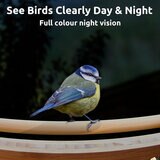 Birdfy Bamboo Bird Feeder with Solar Panel, HD Camera & Lifetime AI Feature Access
