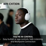 Buy Sony WHCH730N Wireless Over-Ear Headphones at Costco.co.uk