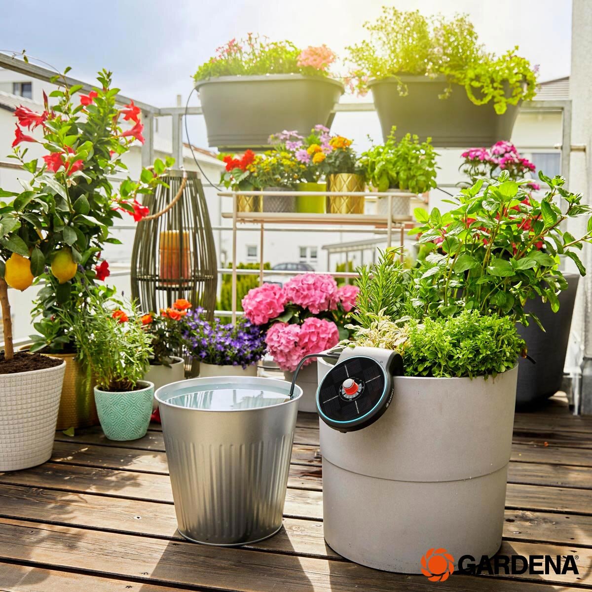 Costco flower pots deals