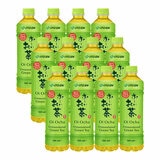 Itoen Oi Ocha Green Tea, 12 x 500ml