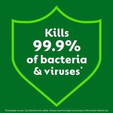 Kills 99.9% of Bacteria & Viruses