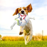 Beagle Biting a Ball Toy Beagle Biting a Ball Toy