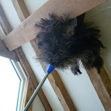 Home Valet Ozzie Ostrich Feather Duster Dusting Between Ceiling Beams