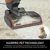 Lifestyle image of Shark CarpetXpert HairPro Pet Deep Carpet Cleaner with hairpro pet technology
