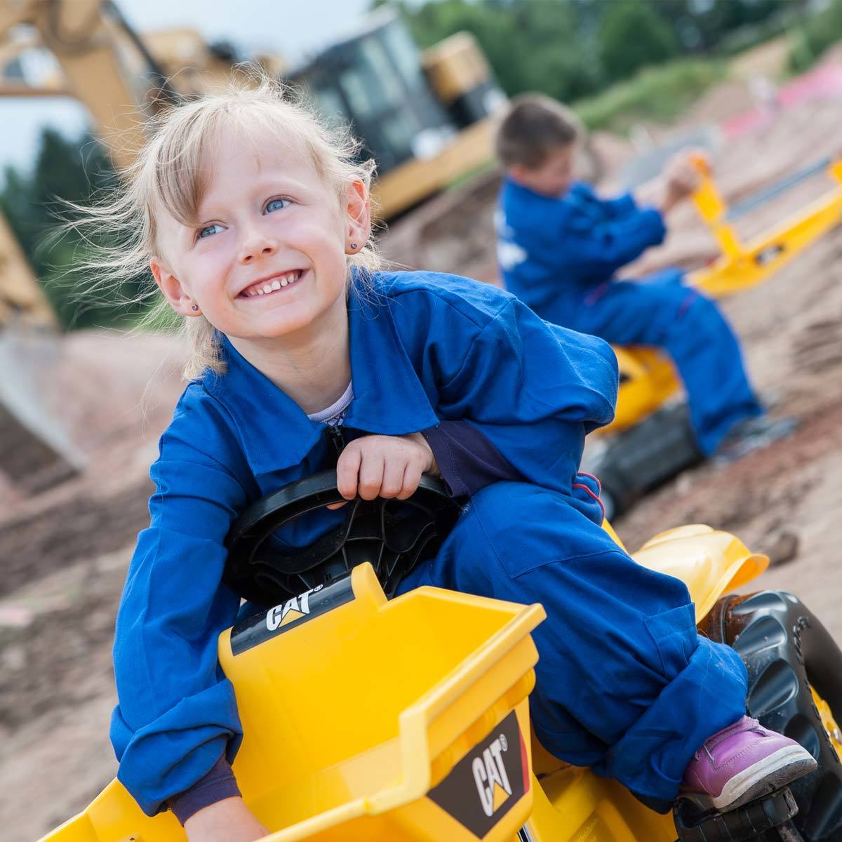 Cat dumper front image