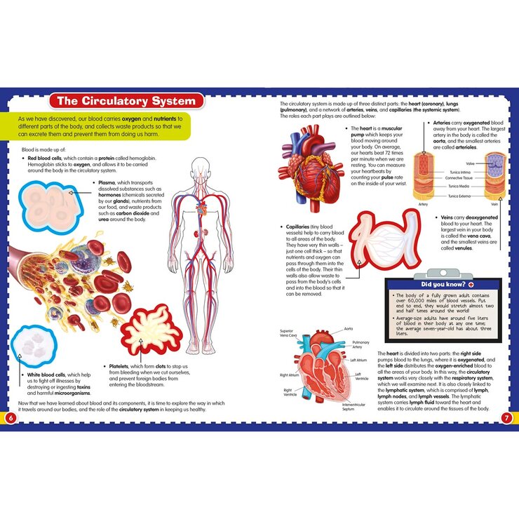 Wonders of Learning Activity Book in 2 Options: Stickers or Puzzles