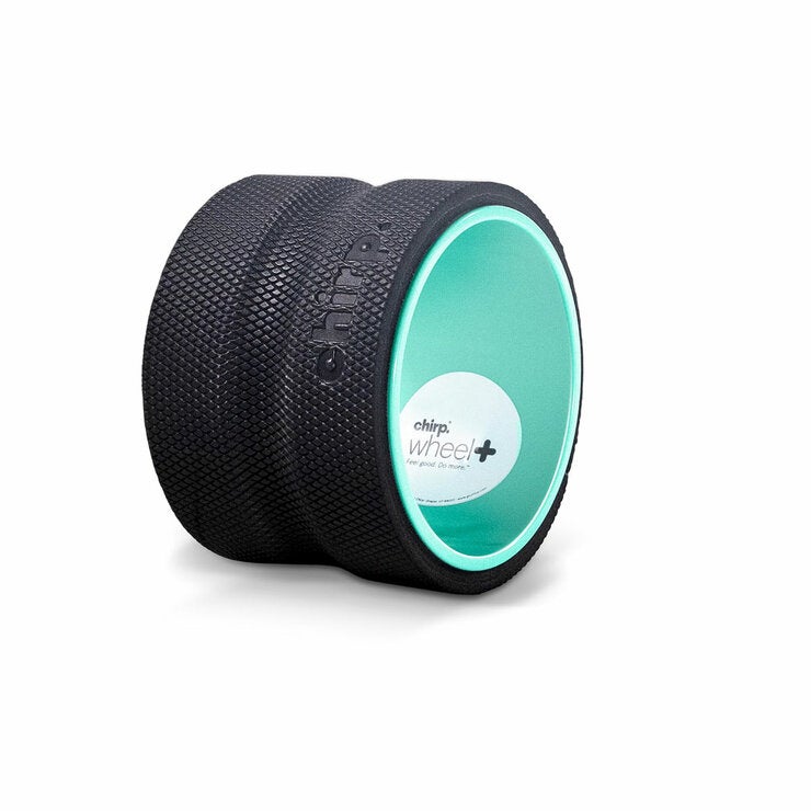 Studio image of the 4" wheel