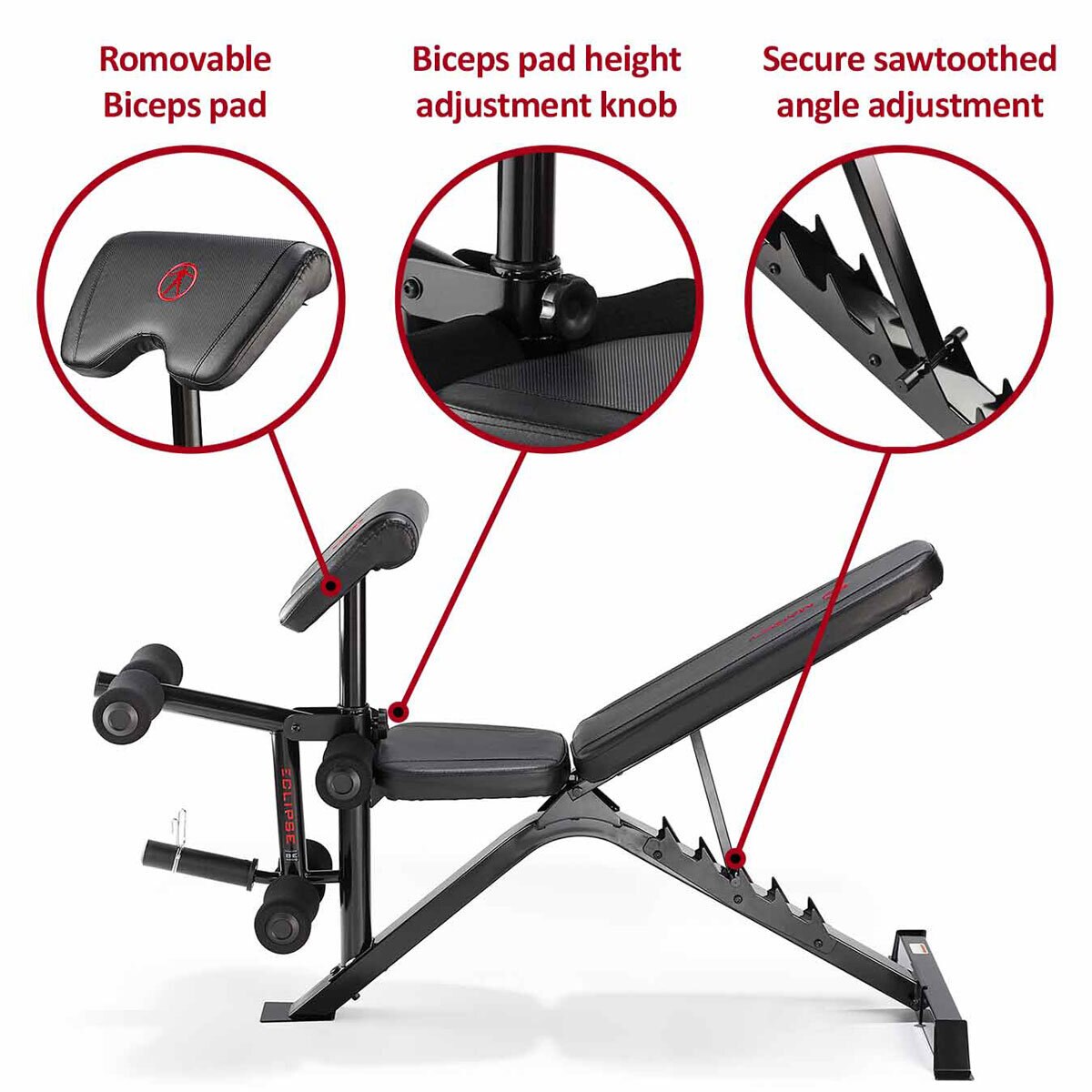 Costco bench 2025 workout