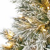 Close up of tree branch white