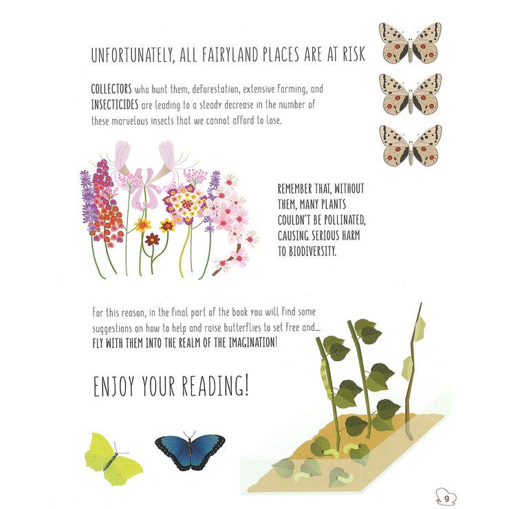 page spread butterfly page spread butterfly