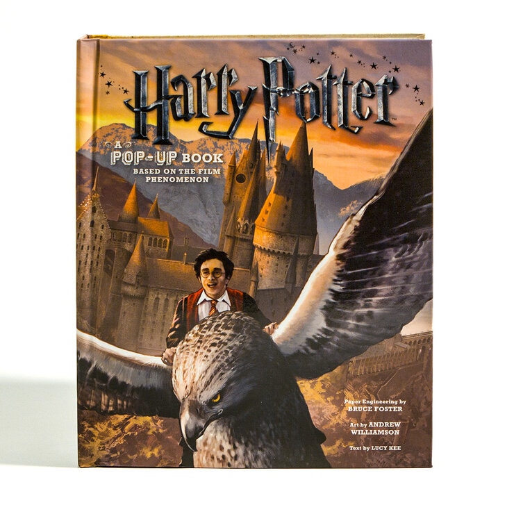 Harry Potter Harry Potter