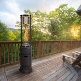 Well Traveled Cyclone Flame Gas Patio Heater