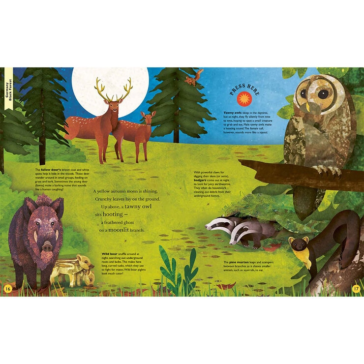 Page spread Page spread
