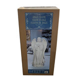 Buy 70" Angel with LED Lights Box Image at Costco.co.uk