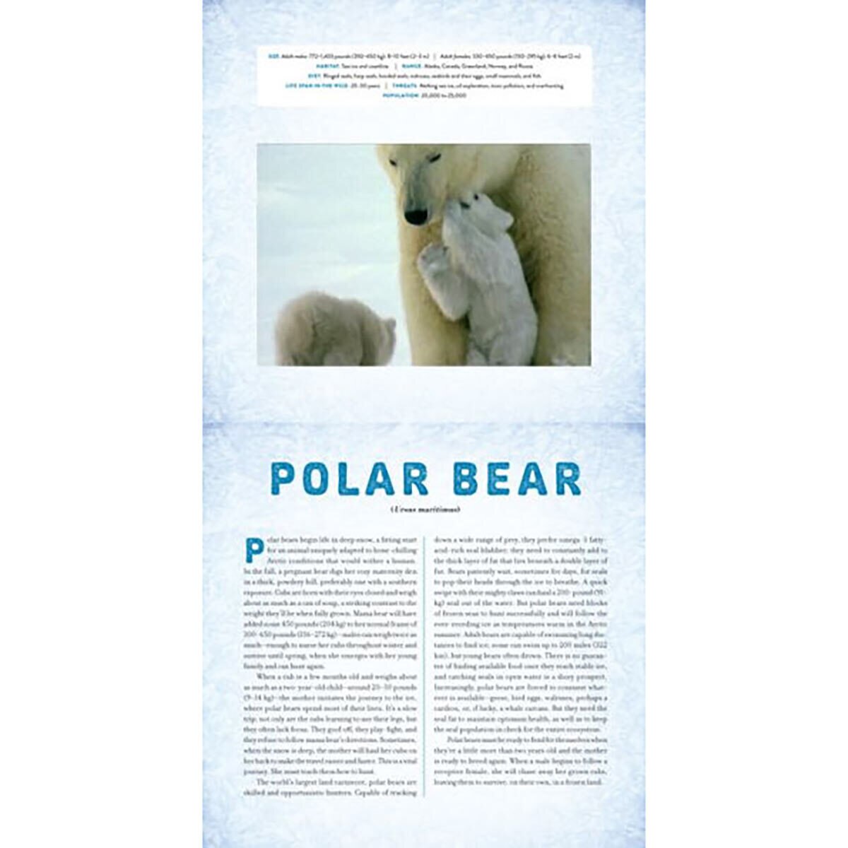 Polar: A Photicular Book