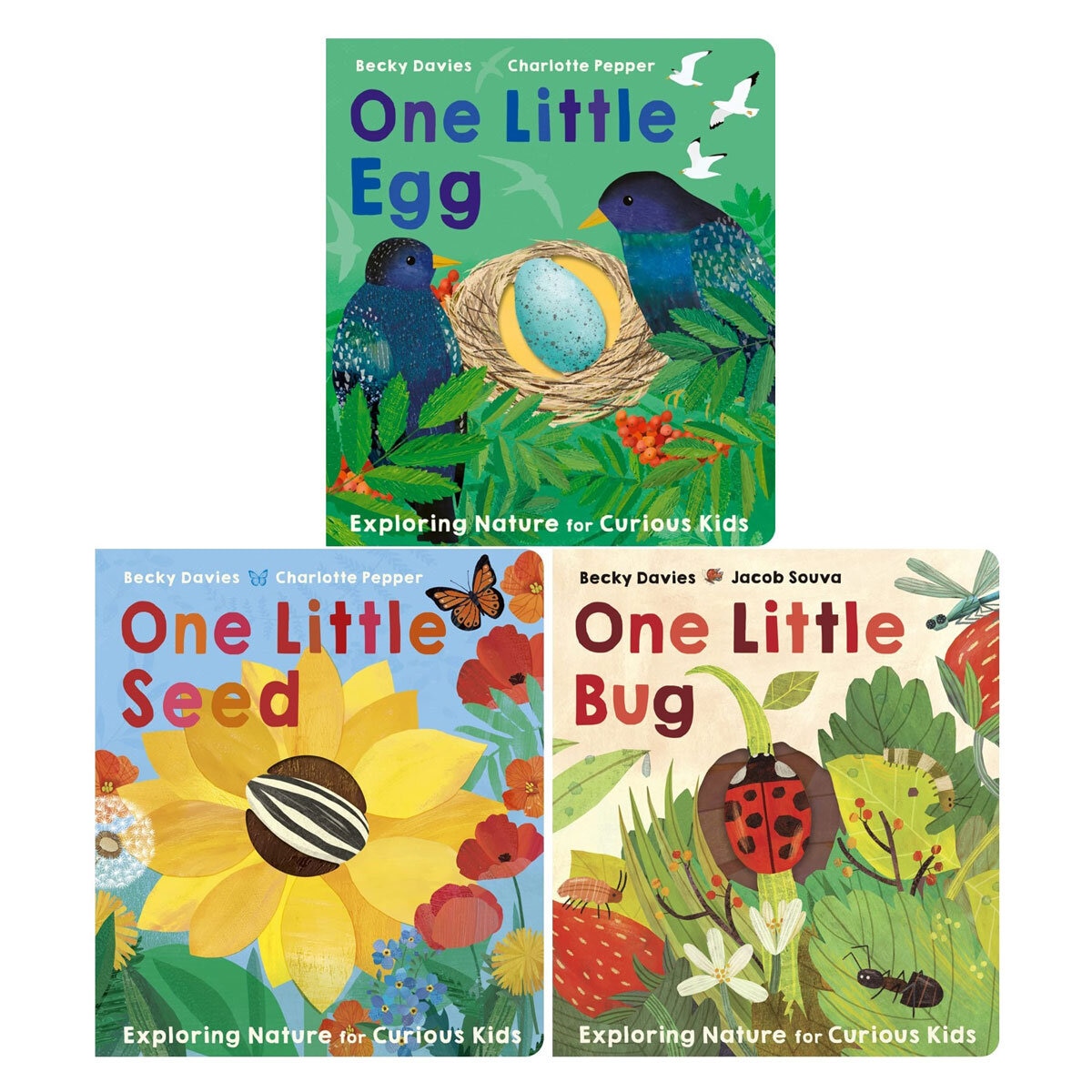 One Little Board Book by Becky Davies and Jacob Souva in 3 Options: One Little Bug, One Little Egg or One Little Little Seed