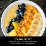 Ninja Detect Power Blender & Processor Pro with Torque Detect