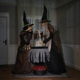 Halloween Witch Cauldron Duo