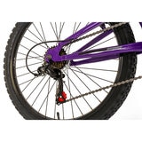 Falcon Siren Junior Mountain Bike 24" Wheel (12" Frame)